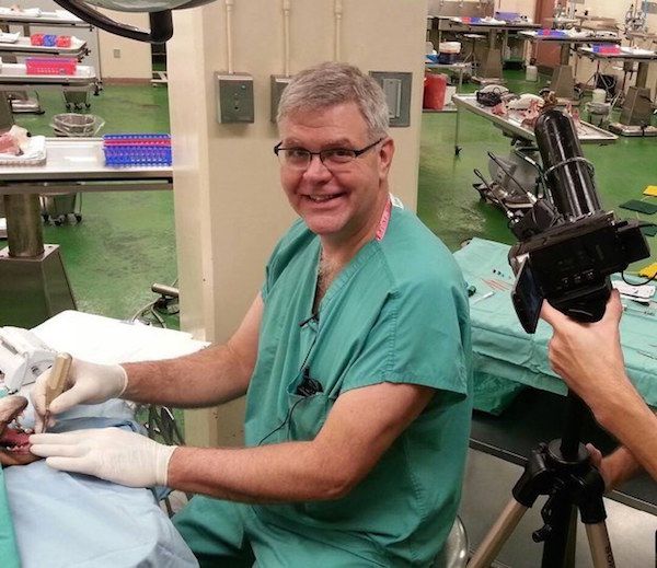 Ktiniatros Siderakia Gia Skilous