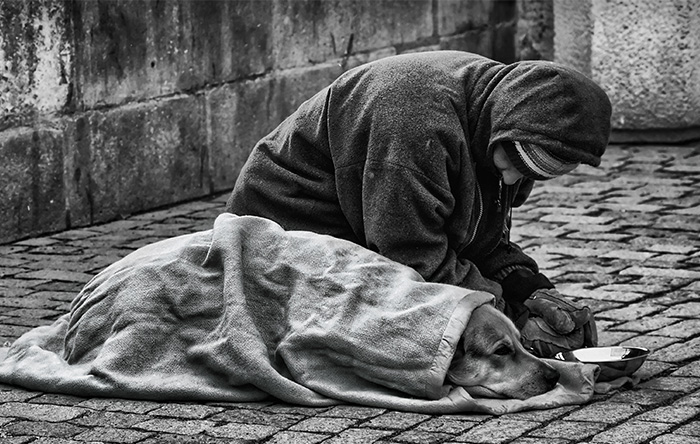 10+ Φωτογραφίες που αποδεικνύουν ότι οι σκύλοι σας αγαπούν, ασχέτα με το πόσα χρήματα ΔΕΝ έχετε