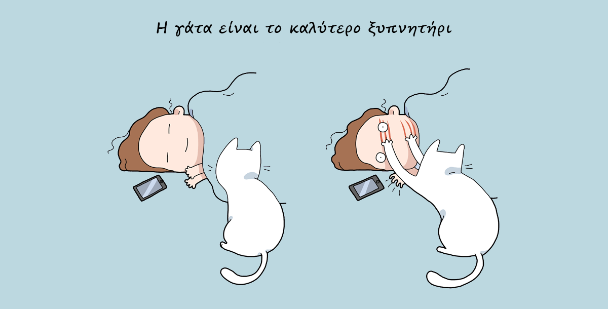 10 Λόγοι Για Να Πάρετε Μια Γάτα