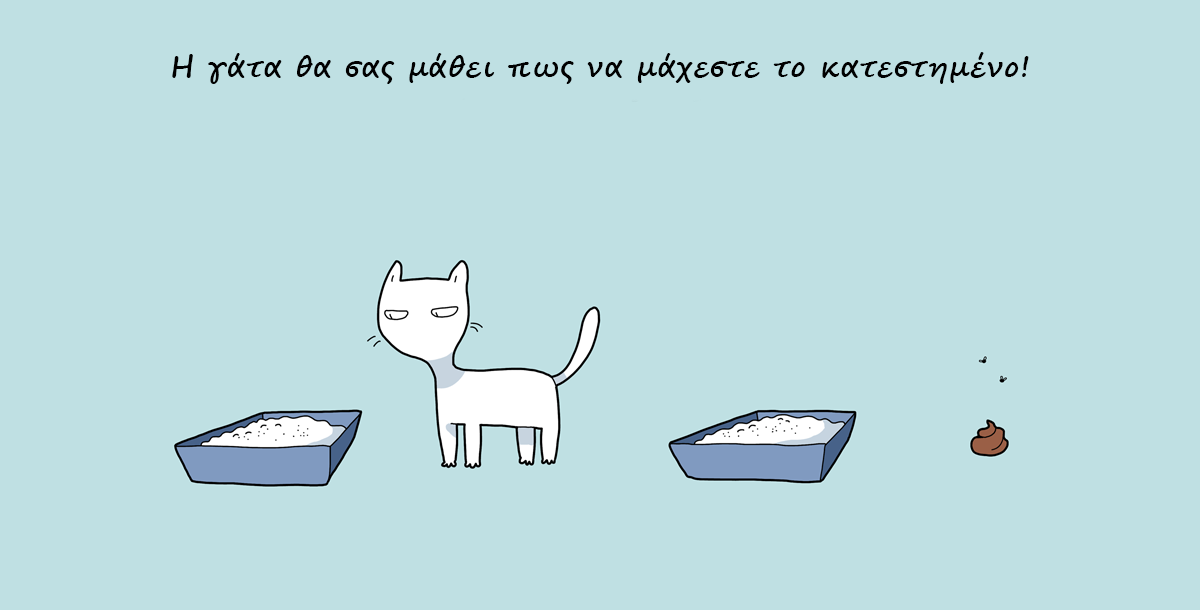 10 Λόγοι Για Να Πάρετε Μια Γάτα