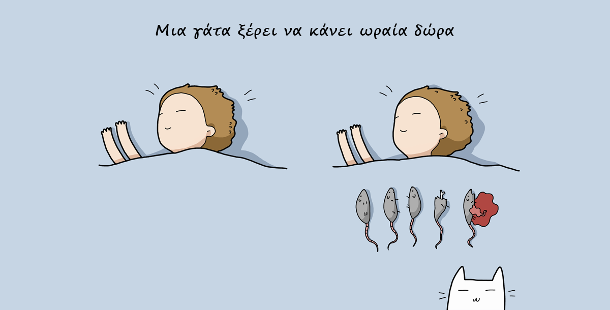 10 Λόγοι Για Να Πάρετε Μια Γάτα