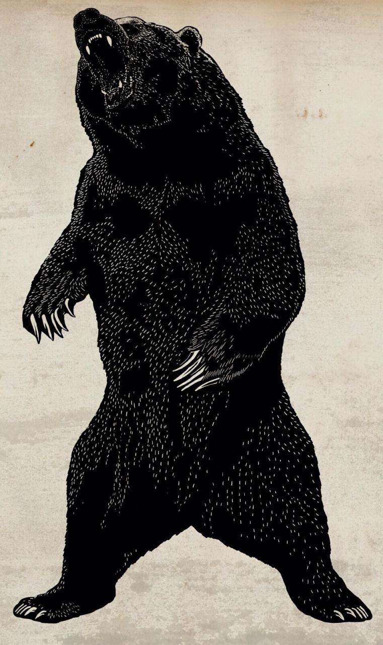 40 wallpapers for mobiles