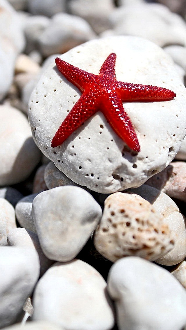 40 wallpapers for mobiles