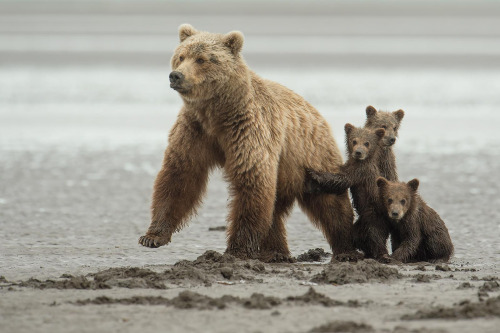 tumblr_nv6og1OCBV1riijaro1_500